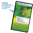 Bioviva! - Défis Nature - beilles et autres pollinisateurs - 7 ans et +