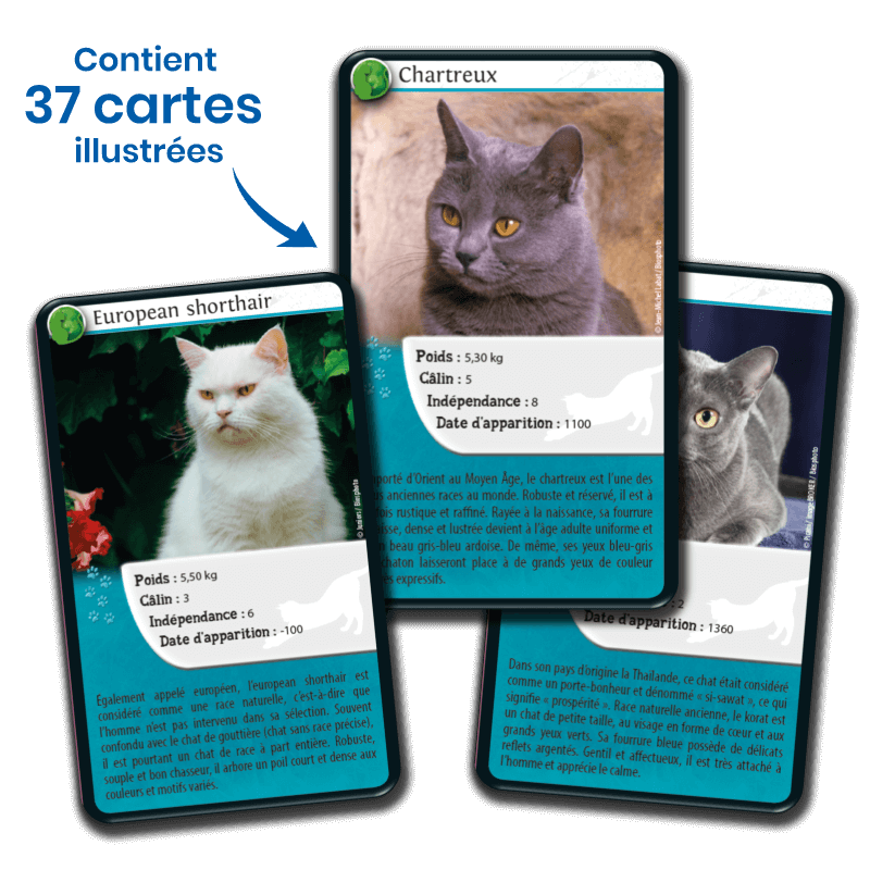 Bioviva! - Défis Nature - Chats - 7 ans et +