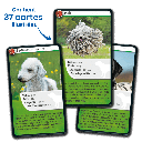 Bioviva! - Défis Nature - Chiens - 7 ans et +