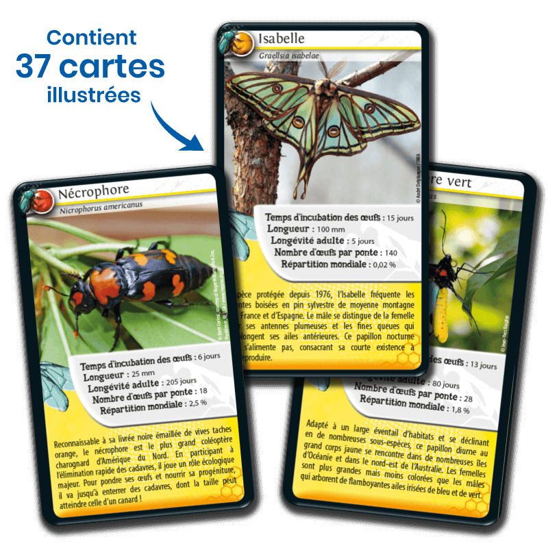 Bioviva! - Défis Nature - Insectes - 7 ans et +