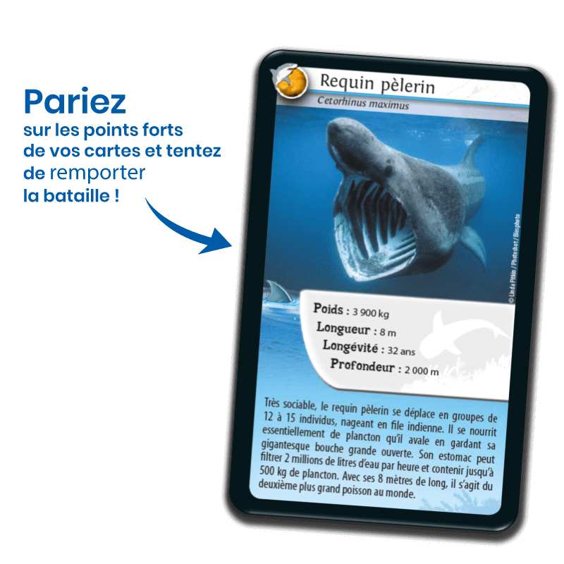Bioviva! - Défis Nature - Requins - 7 ans et +