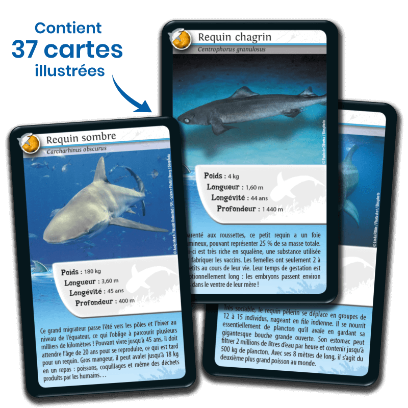 Bioviva! - Défis Nature - Requins - 7 ans et +