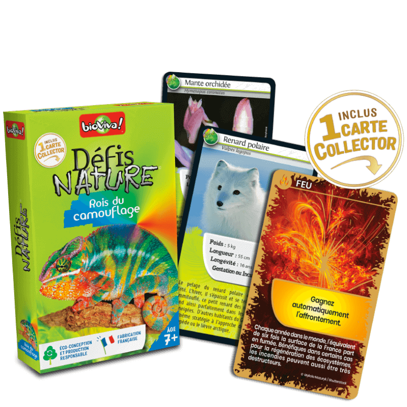Bioviva! - Défis Nature - Rois du Camouflage - 7 ans et +