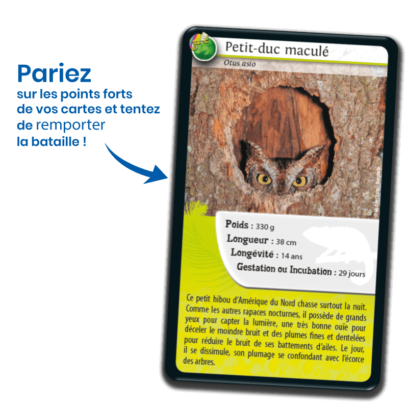 Bioviva! - Défis Nature - Rois du Camouflage - 7 ans et +