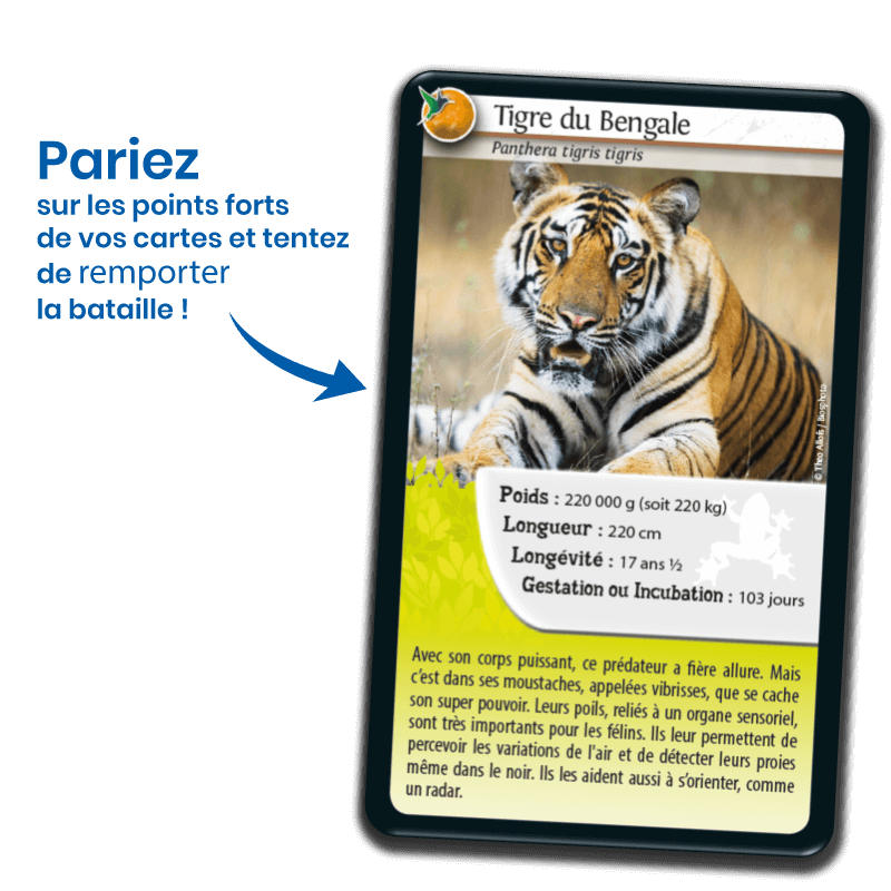 Bioviva! - Défis Nature - Super Pouvoirs des Animaux - 7 ans et +