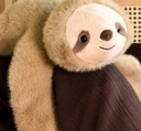 Podcoll - Peluche paresseux marron lesté - 40 cm