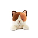 Doudou et Compagnie -