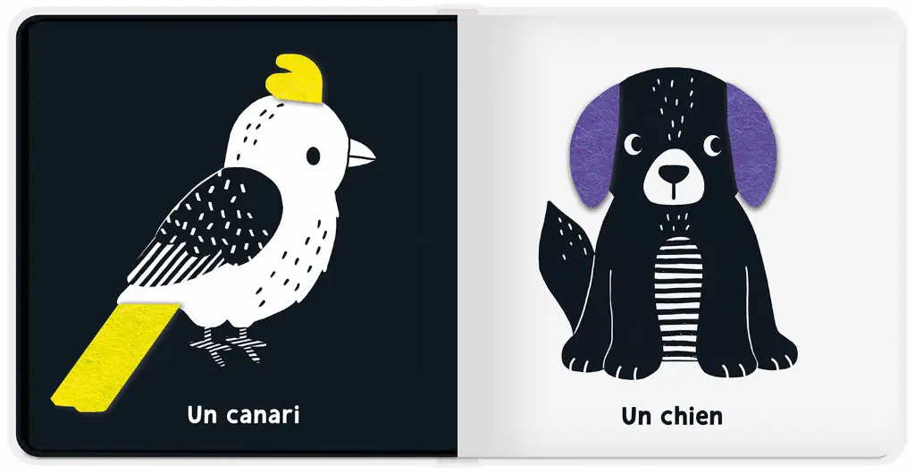 MES PREMIERS FLAPS - LES ANIMAUX DE COMPAGNIE 2.webp