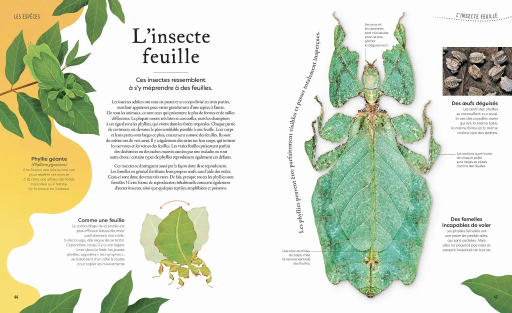 Auzou - L'anthologie insolite de la nature étrange et mystérieuse 3.webp