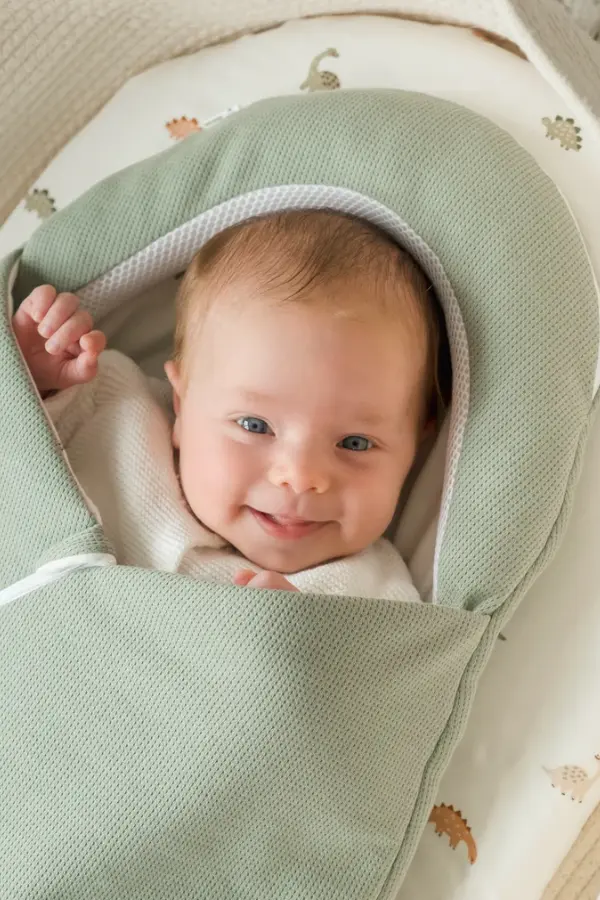 Capture d'écran 2025-11-07 092824.webp