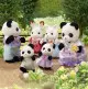 la-famille-panda (3).webp
