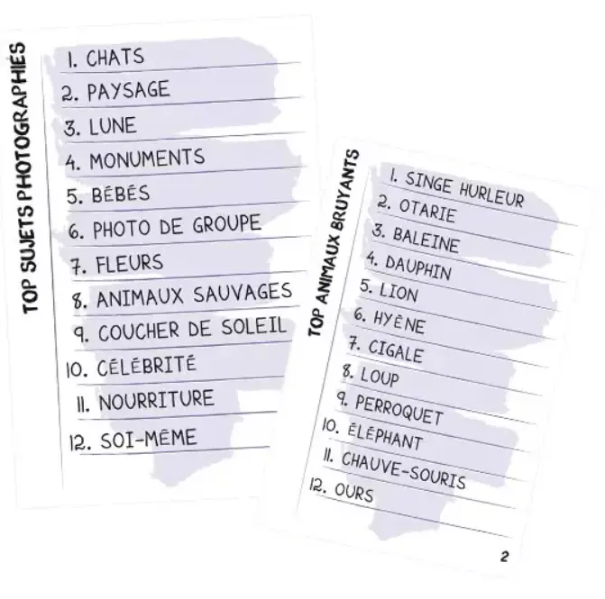 Capture d'écran 2025-11-28 172917.webp