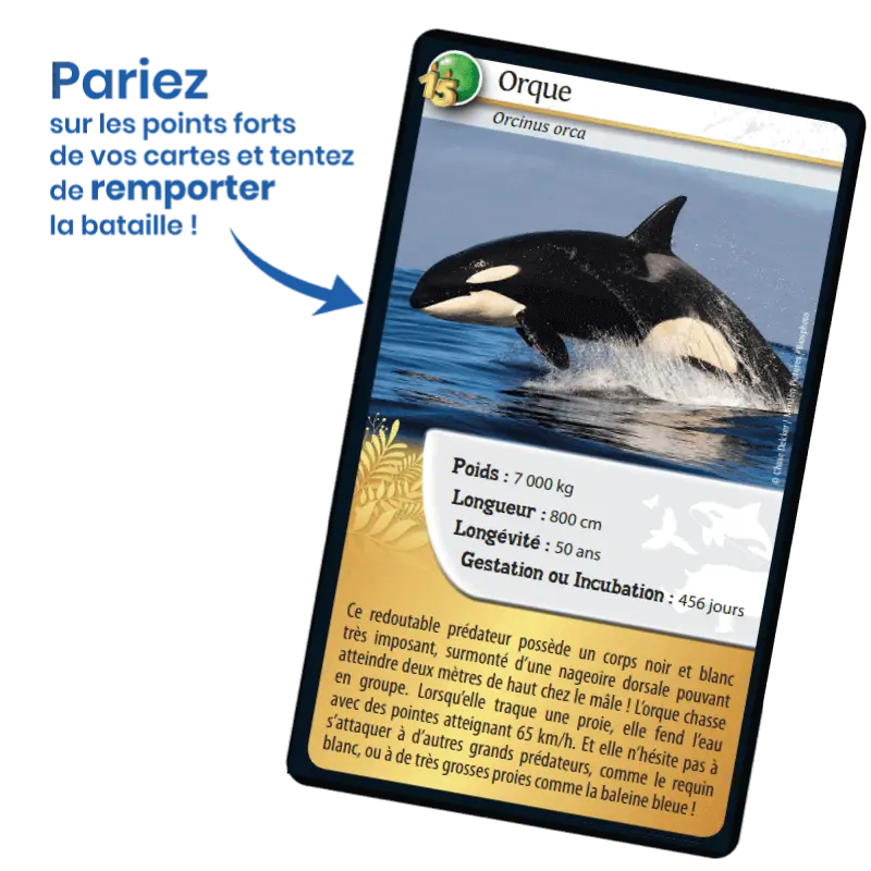 defis-nature-15e-anniversaire (2).webp