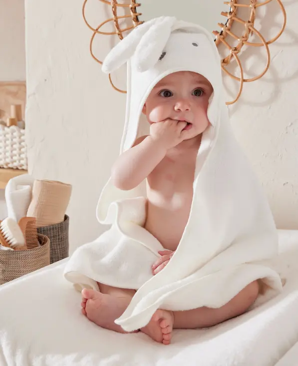 Capture d’écran 2025-12-27 153429.webp