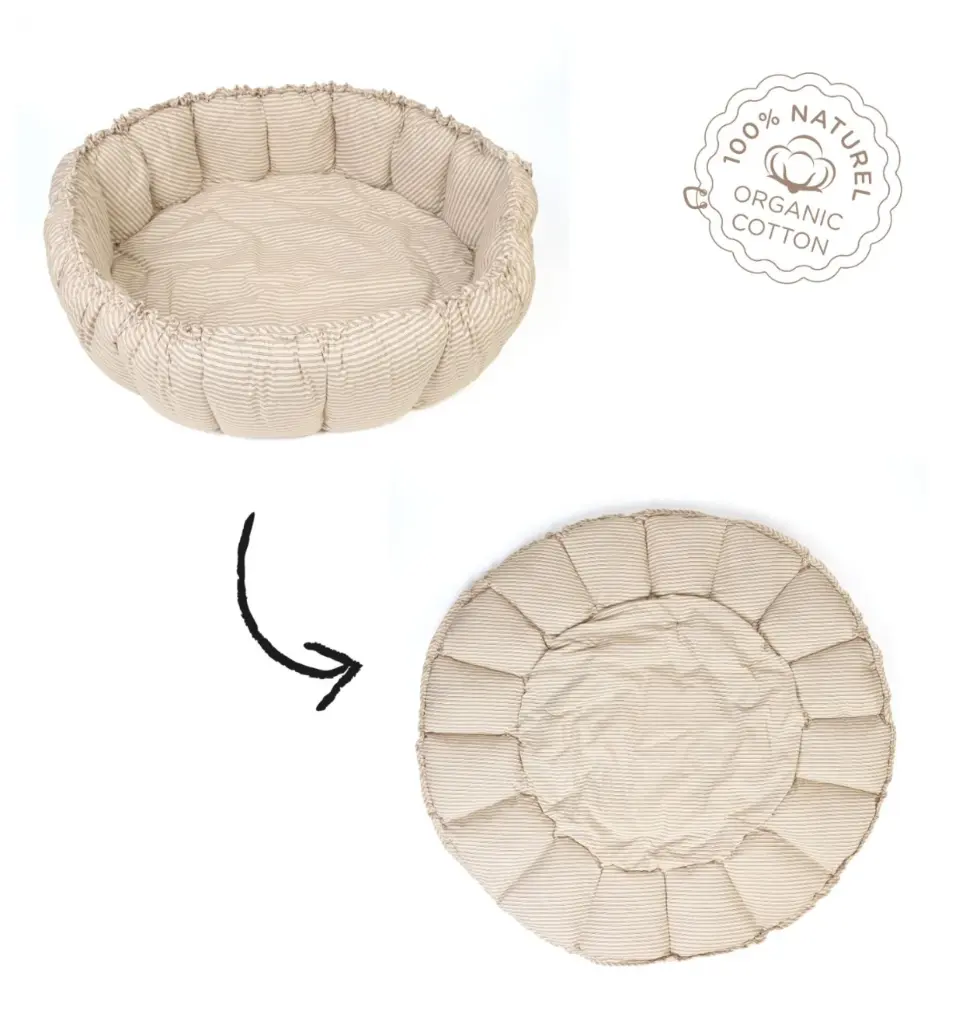 Capture d’écran 2026-02-07 110353.webp