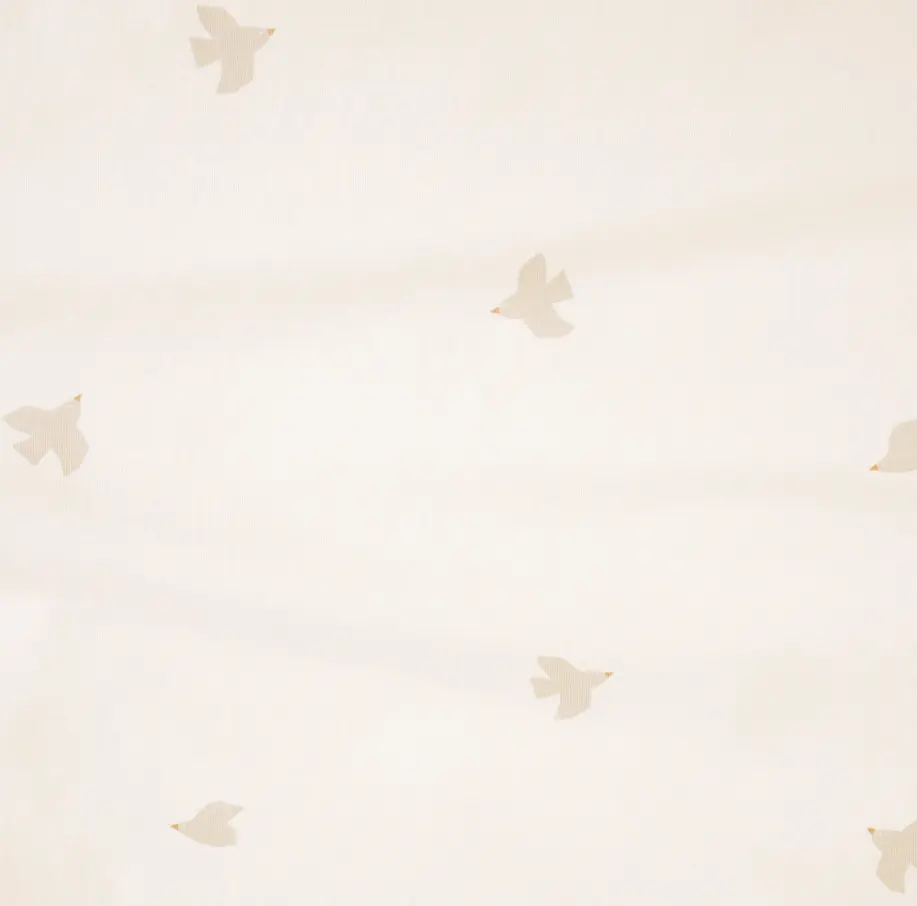 Capture d'écran 2026-02-13 154059.webp