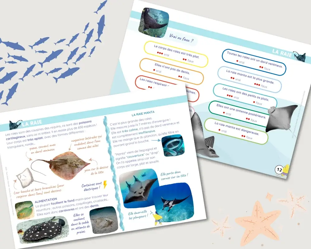 Livret-Animaux-marins_5.webp