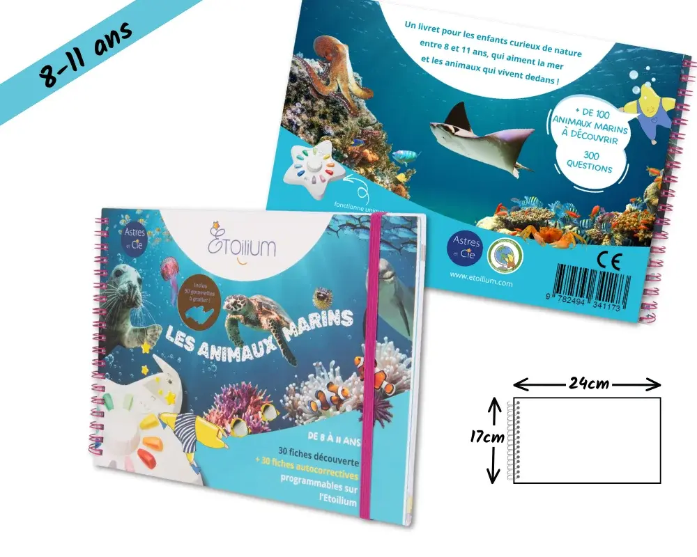 Livret-Animaux-marins_2.webp