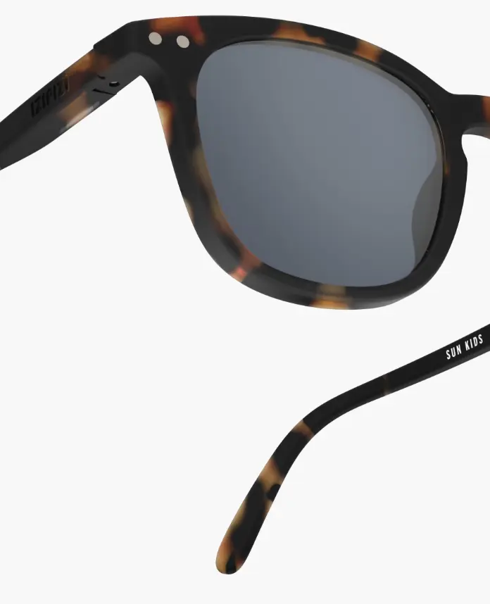 Capture d'écran 2026-03-06 154527.webp