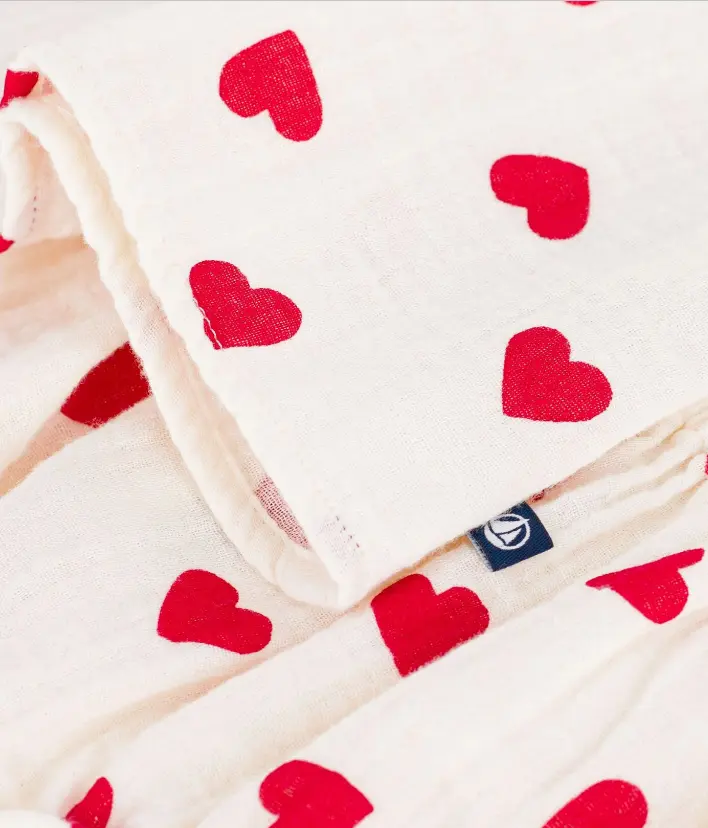 Capture d'écran 2026-03-10 214123.webp