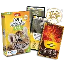 defis-nature-bebes-animaux (1).webp