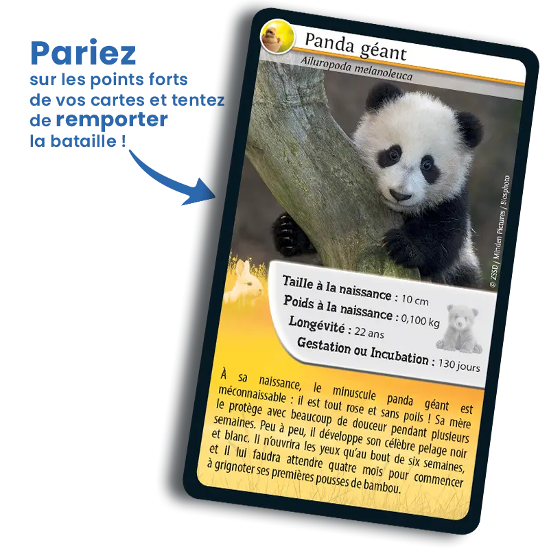 defis-nature-bebes-animaux (4).webp