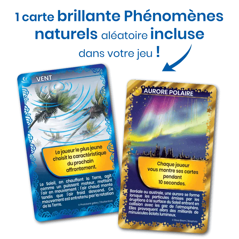 defis-nature-bebes-animaux (3).webp