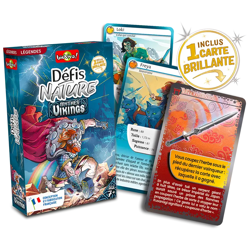 defis-nature-mythes-vikings (1).webp