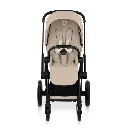 1003418.webp