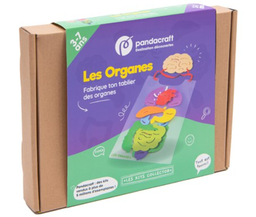 Pandacraft - Kit Les Organes