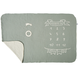 BB&amp;Co - Couverture étapes bébé - Vert de gris/Ecru