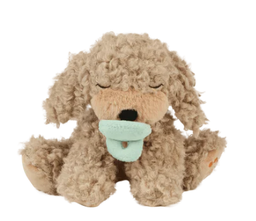 Olliella - Dinkum Dog - Puppies - Benny
