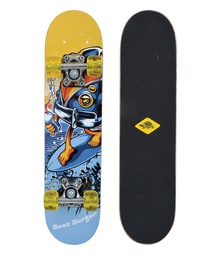 [510620] Schildkröt - Skateboard junior