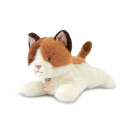 [HO3319] Doudou et Compagnie - Les Ptit's Relax - Peluche Chat allongé - 22 cm